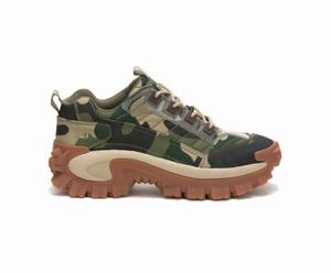 Caterpillar Intruder Erkek Sneakers Camo | 80594BONX